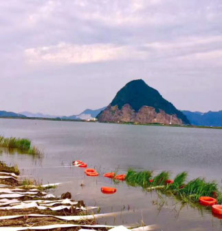 lm体育(中国)官方网站-登录入口